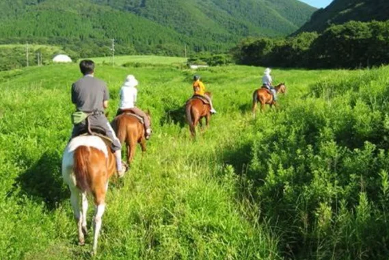 乗馬体験アクティビティ