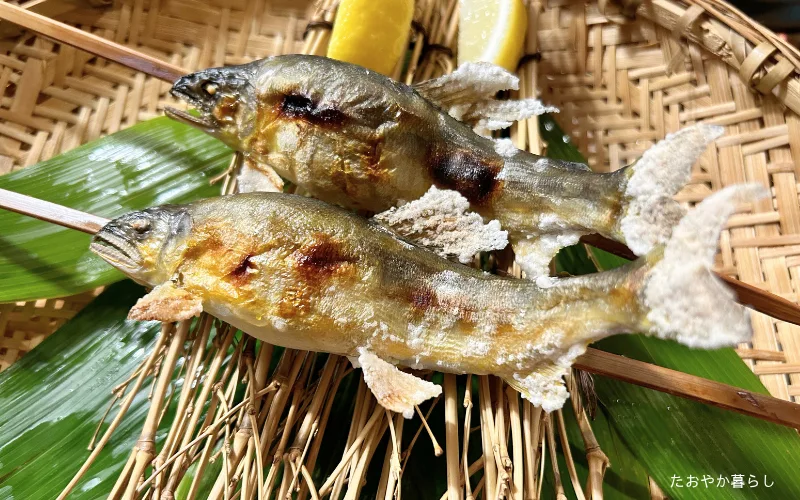 天ヶ瀬温泉 成天閣 レビュー 鮎