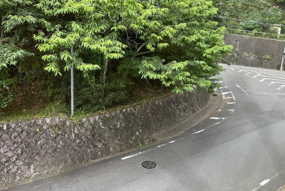 窓から見える景色　みどりや