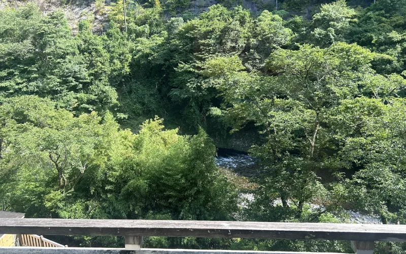 窓から　龍神温泉　季楽里　龍神
