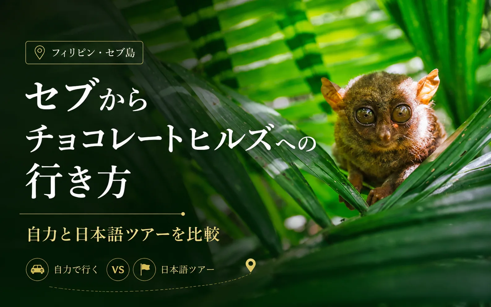 セブからチョコレートヒルズへの行き方｜自力と日本語ツアーを比較